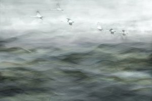 Swans Over Misty Water by Christina Sillen