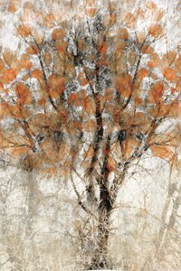 Textured Autumn Tree