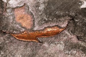 Weathered Mineral Surface by Christina Sillen