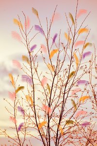 Whimsical Spring Branches