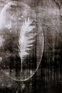 White Feather Moon by Christina Sillen