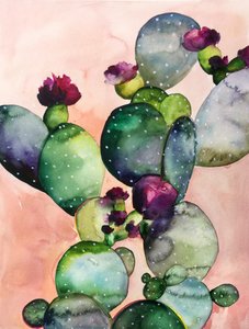Colorful Cactus Blooms by Christine Lindstrom