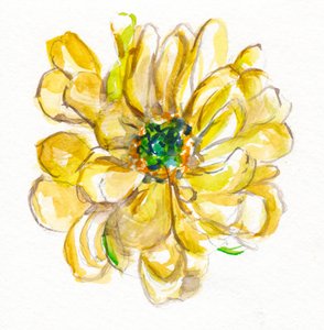 Delicate Yellow Bloom by Christine Lindstrom