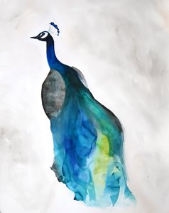 Elegant Blue Peacock by Christine Lindstrom