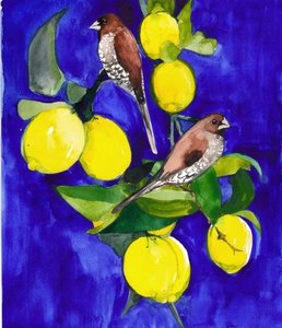 Finches on Lemon Branch by Christine Lindstrom