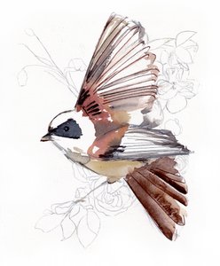 Flying Watercolor Bird by Christine Lindstrom