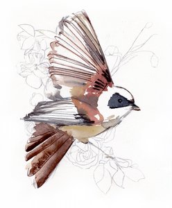 Flying Watercolor Bird by Christine Lindstrom