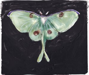 Green Luna Moth by Christine Lindstrom