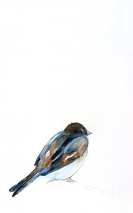 Perched Sparrow Watercolor by Christine Lindstrom