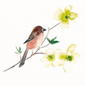 Watercolor Bird Flowers by Christine Lindstrom