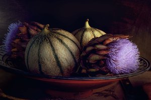 Melons and Purple Thistles by Christine SUISSIA