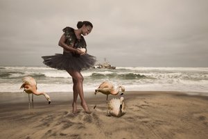 Ballerina and Beach Flamingos