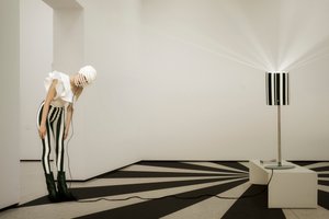 Black White Striped Vision