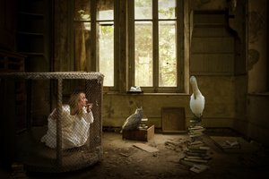 Caged Woman and Pelican by Christine von Diepenbroek