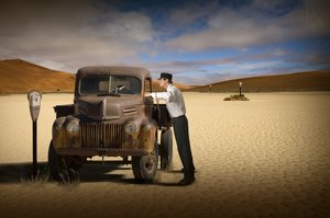Desert Parking Attendant by Christine von Diepenbroek