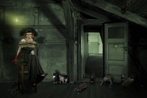 Eccentric Woman In Attic by Christine von Diepenbroek