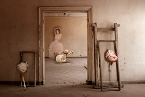Flamingo Ballet Dream