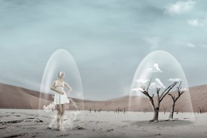 Fragile Desert Dream by Christine von Diepenbroek