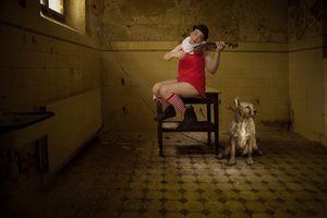 Quirky Room Serenade by Christine von Diepenbroek