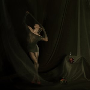 Sheer Fabric Grace