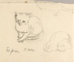 Cats by Christoph Voll