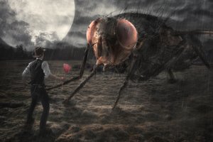 Giant Fly Encounter by Christophe Kiciak