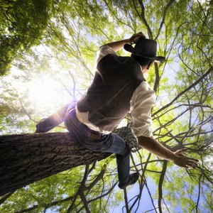 Man At Treetop