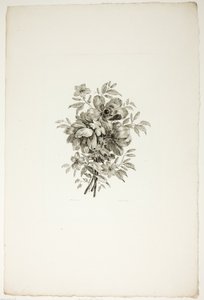 Bouquet with Poppies, from Collection of Different Bouquets of Flowers, Invented and Drawn by Jean Pillement and Engraved by P. C. Canot