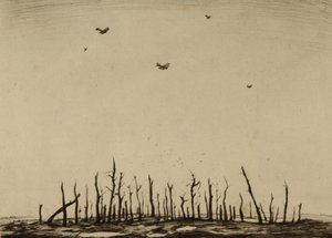 The Cursed Wood
