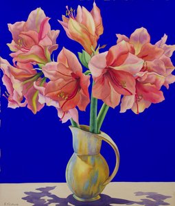 Amaryllis in a Jug, 2007