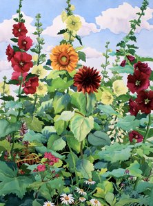 Hollyhocks and Sunflowers
