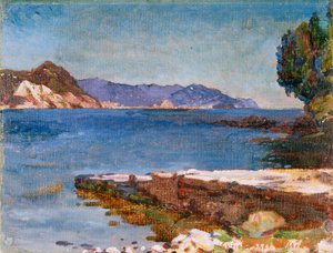 The Ligurian Coast from Rapallo by Christopher Williams