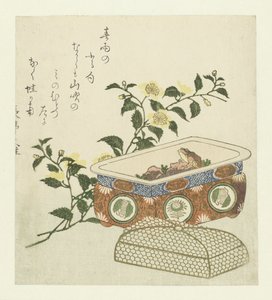 Frog and Spray of Kerria Japonica by Chôtei Hisazumi