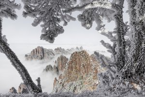 Misty Winter Peaks