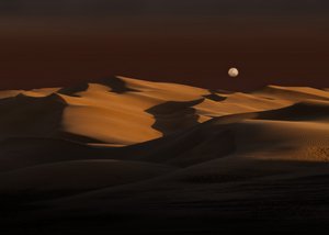 Moon Over Golden Dunes