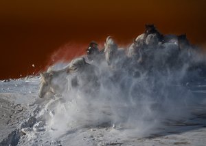 White Horses Blizzard