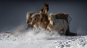 Wild Horses Running Snow by Chuanxu Ren