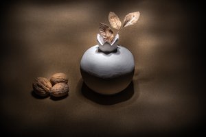 Autumn Vase Walnuts by Cicek Kiral