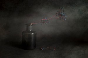 Dark Berries Still Life by Cicek Kiral