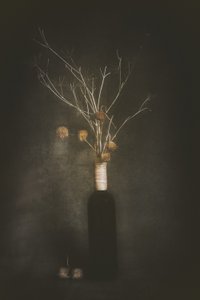 Dark Botanical Still Life by Cicek Kiral