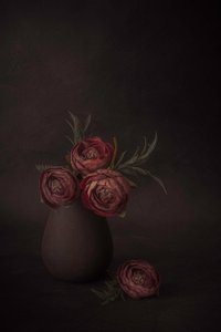 Dark Floral Still Life by Cicek Kiral