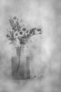 Dreamy Black and White Flowers by Cicek Kiral