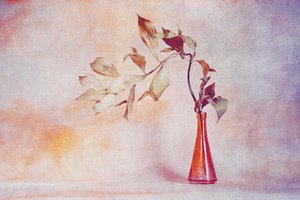 Faded Leaves Orange Vase by Cicek Kiral