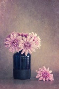 Gentle Pink Floral Still Life by Cicek Kiral