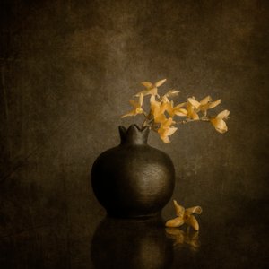 Golden Blossoms Dark Vase by Cicek Kiral