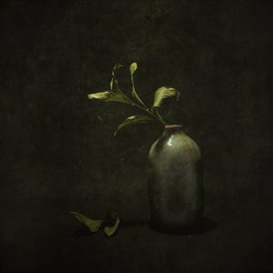 Moody Botanical Still Life by Cicek Kiral