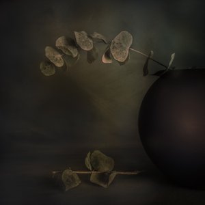 Moody Eucalyptus Still Life by Cicek Kiral