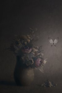 Moody Floral Butterfly by Cicek Kiral