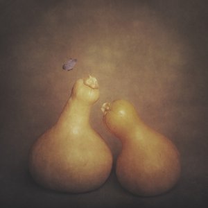Rustic Gourds and Butterfly by Cicek Kiral