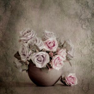 Soft Floral Still Life by Cicek Kiral